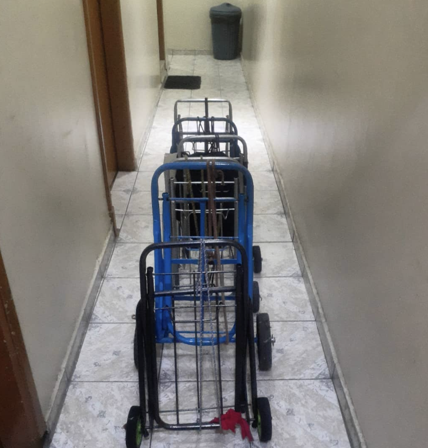 Carrinhos de compras emprestados aos hóspedes do Hotel Anacleto